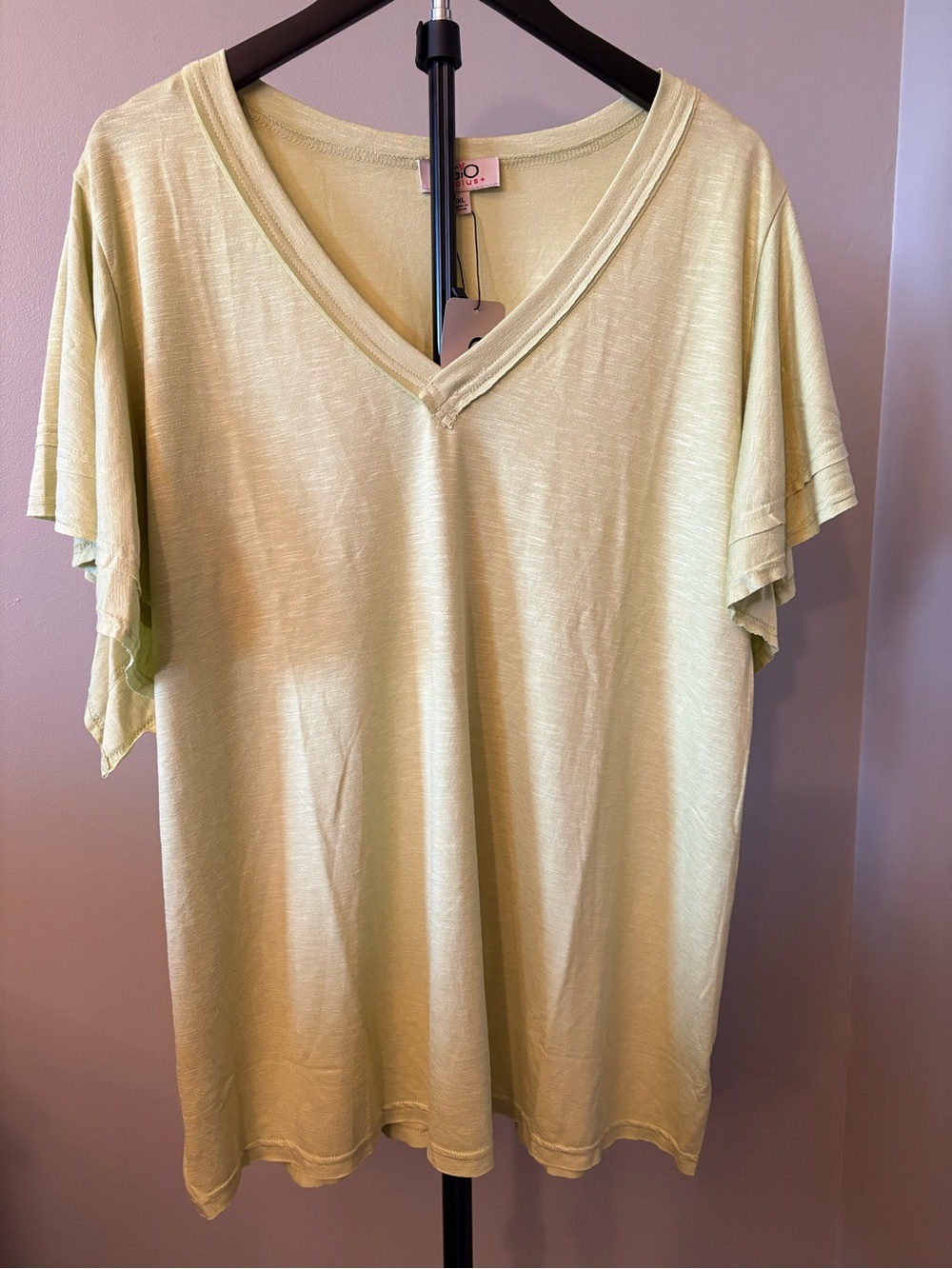NWT GiGio Size 1x Pale Green V-Neck Short Sleeve Top